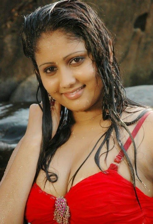South indian actress big boobs photo