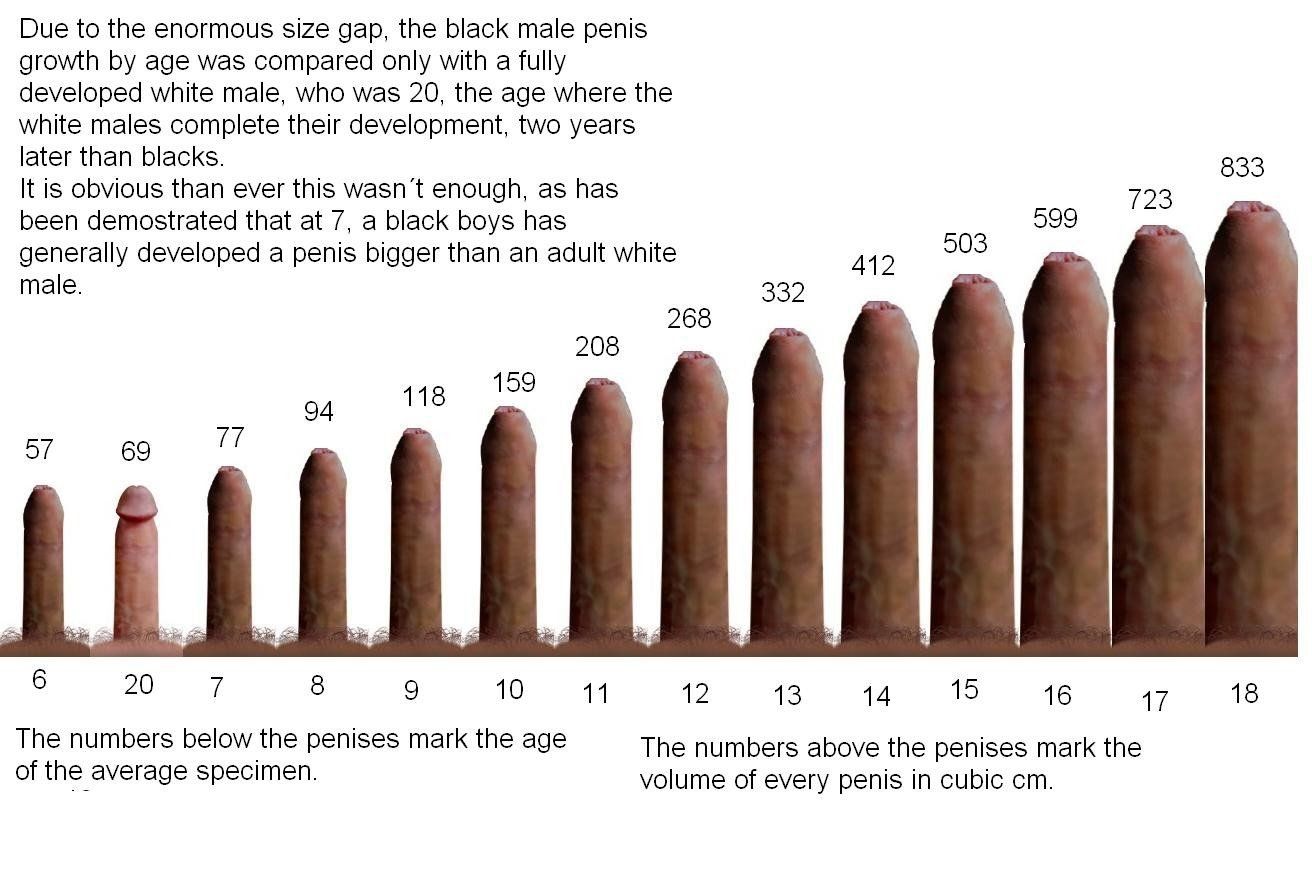 best of Penis lenght pictures average