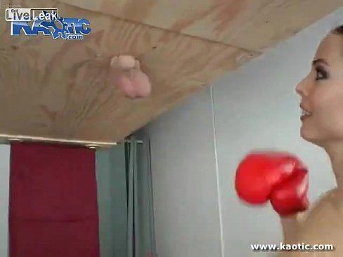 best of Boxing brutal real ballbusting testicle
