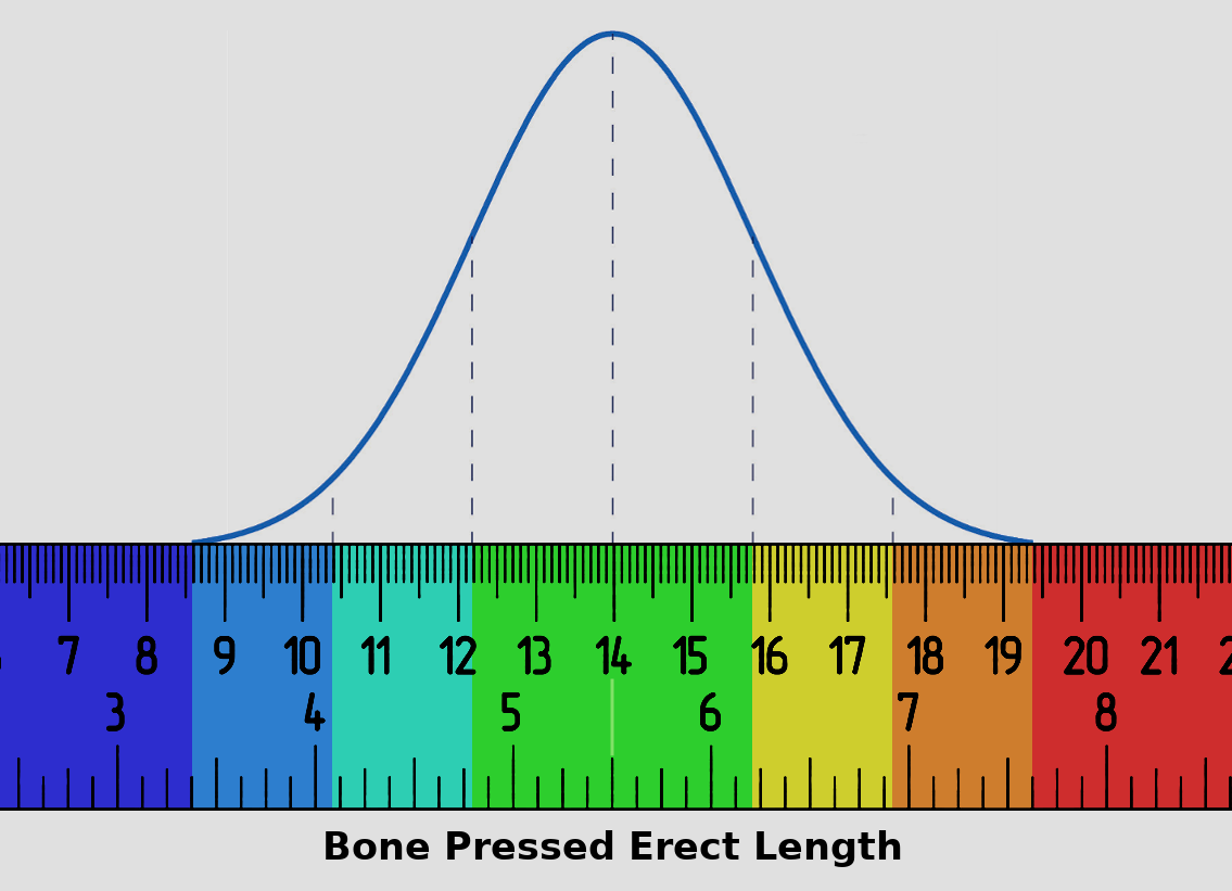 Good D. reccomend micropenis inch erect girth measured
