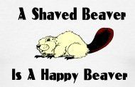 best of Shaved Beaver free