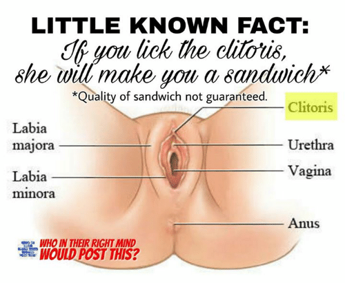 Hot Sex Uretha Lick