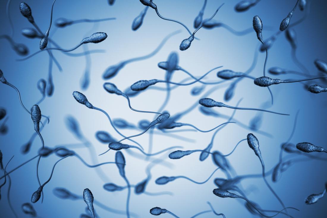 Geneva reccomend Lifetime sperm count