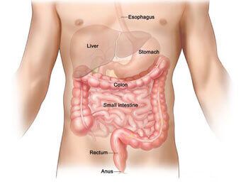 LB reccomend Surgery of the anus rectum and colon