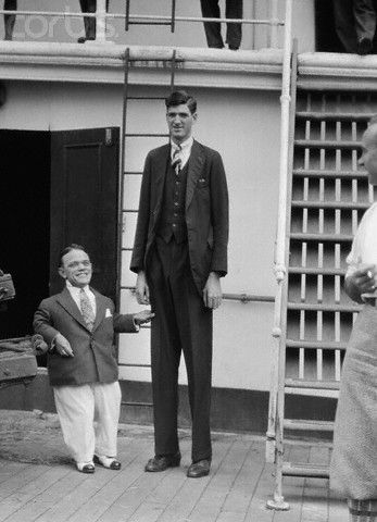 Abbot reccomend Dwarf giant height midget midgit nick tall