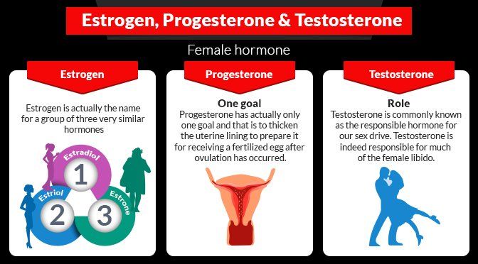 Ferrari reccomend Hormones released in female orgasm