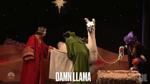 Spank the llama