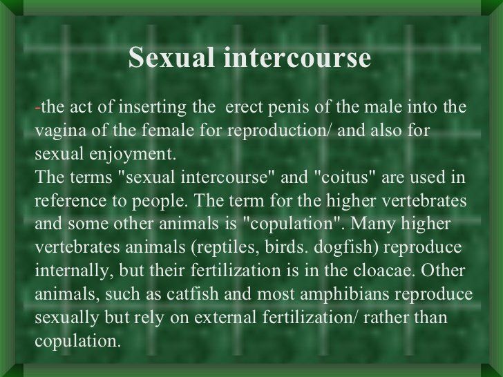 Barrel reccomend Different styles of human sexual intercourse