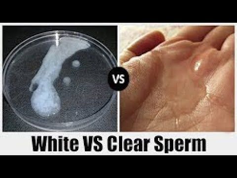 Difference between pre cum and sperm
