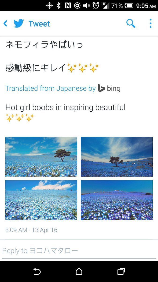 Japanese word for boob