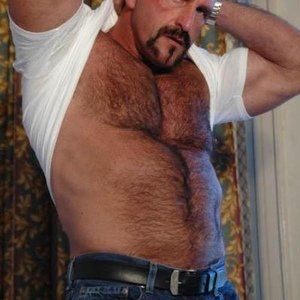 Gay bear damien