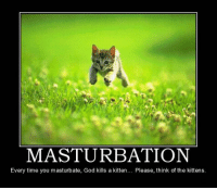 Everytime you masturbate god kill a kitten picture