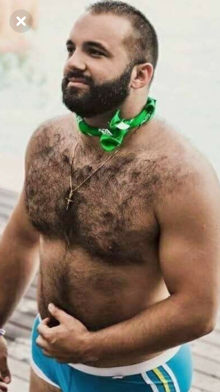 Bear hairy male