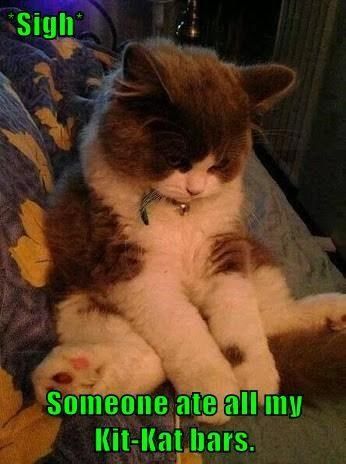Lem /. L. reccomend Chubby parade kitty kat