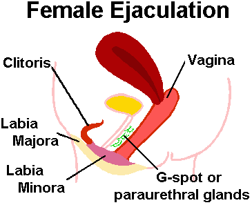 best of Cum female Vagina with pictures