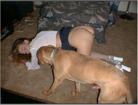 free amateur bestiality stories Fucking Pics Hq