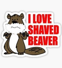 best of Shaved Beaver free