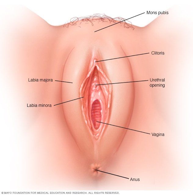 Henchman reccomend Clitoris pain vaginal pressure