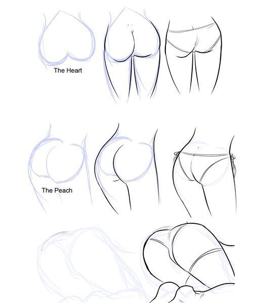 Drawing of anus
