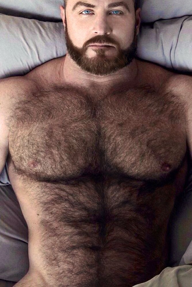 best of Bear Hairy chest gay muscle