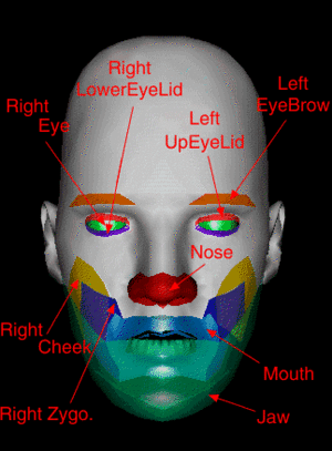 Booter reccomend Facial pain zygo