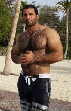 best of Bear Hairy chest gay muscle