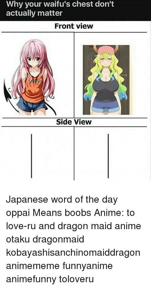 The B. reccomend Japanese word for boob