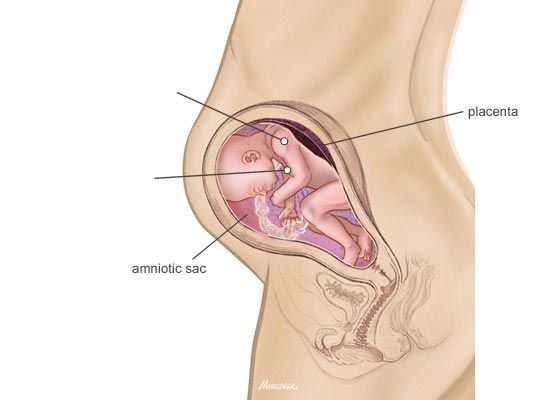 Pain in the anus during 31 weeks of pregnancy