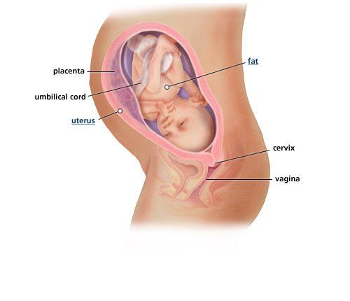 best of Weeks of pregnancy in Pain anus 31 the during