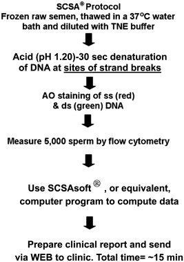 Sperm chromatin structure assay scsa
