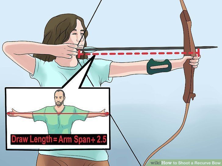 Belle reccomend Youth bow arrow penetration